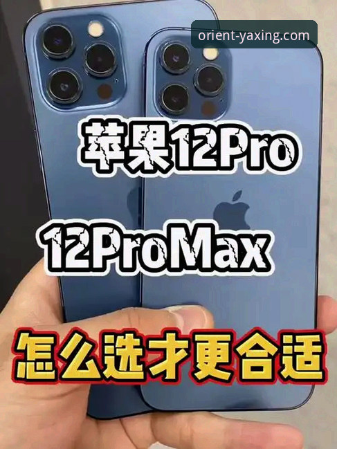 亚星娱乐城介绍 亚星官方平台:移动端与桌面端的全面对比与深度介绍